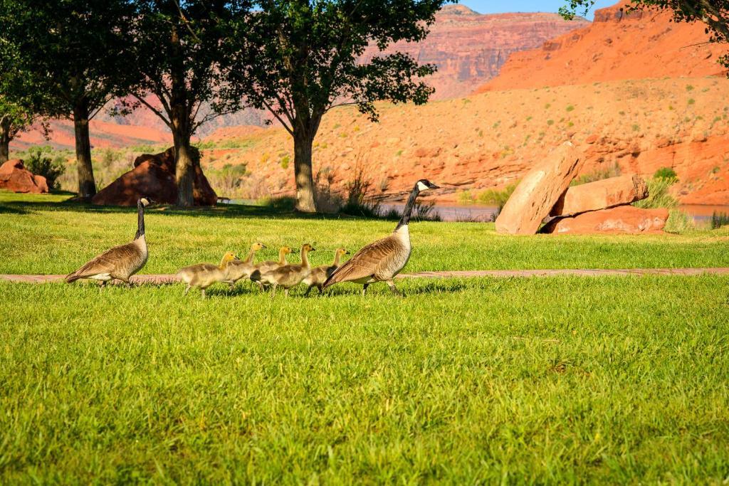 Sorrel River Ranch Resort&Spa Moab Exterior foto