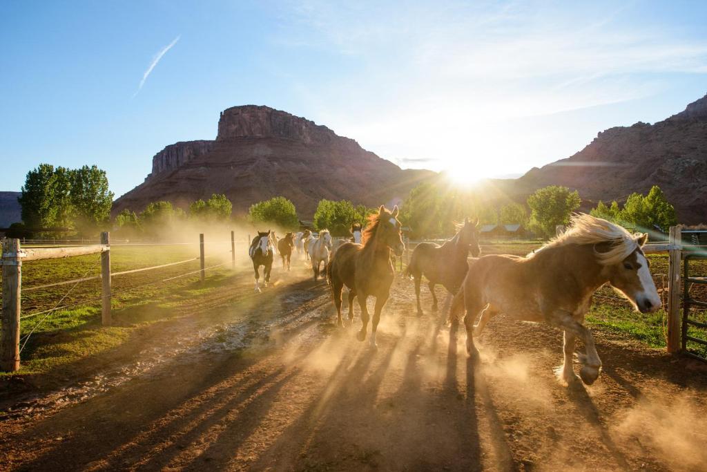 Sorrel River Ranch Resort&Spa Moab Exterior foto